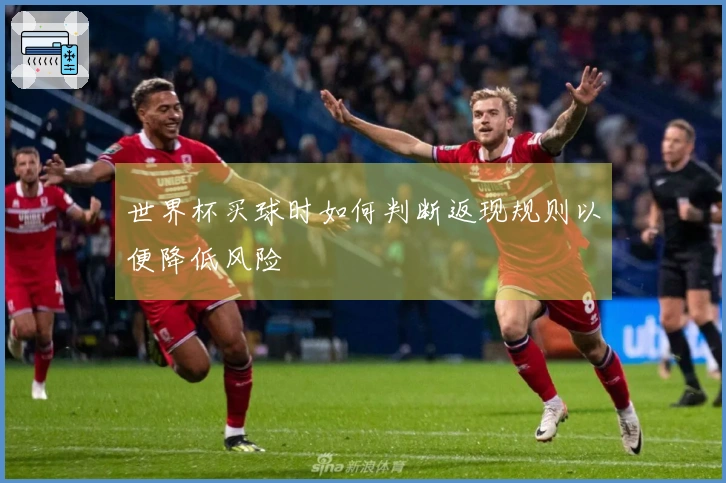 世界杯买球时如何判断返现规则以便降低风险