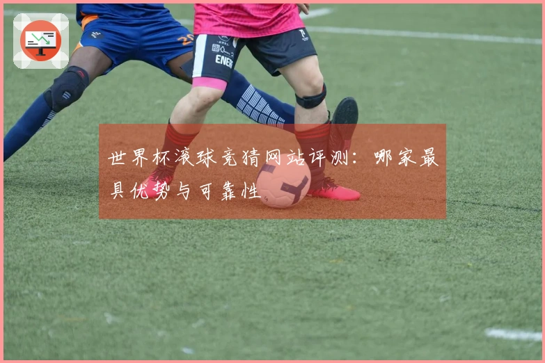 世界杯滚球竞猜网站评测：哪家最具优势与可靠性