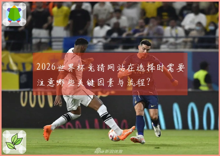 2026世界杯竞猜网站在选择时需要注意哪些关键因素与流程？