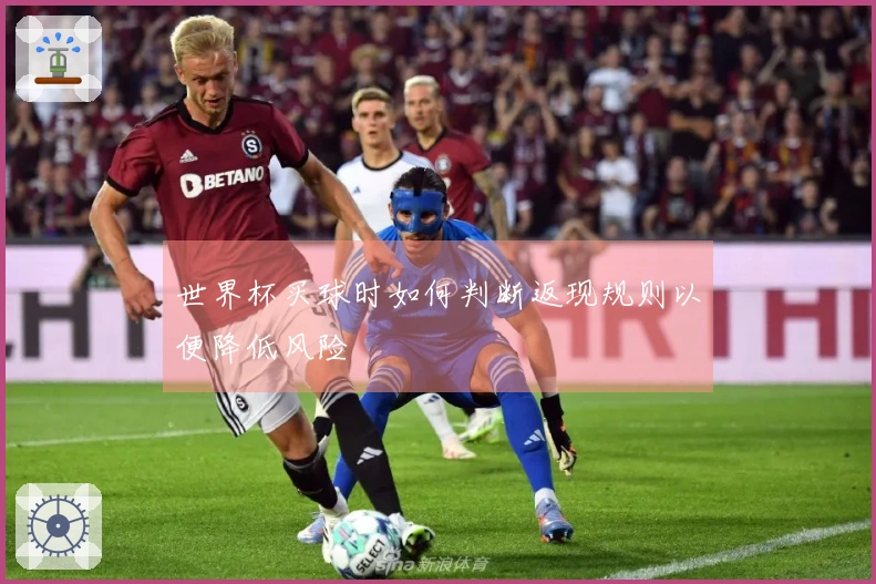 世界杯买球时如何判断返现规则以便降低风险