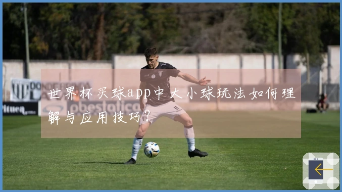 世界杯买球app中大小球玩法如何理解与应用技巧?