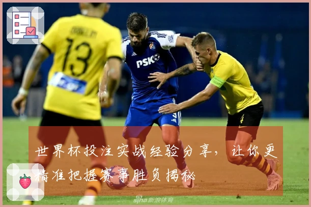 世界杯投注实战经验分享,让你更精准把握赛事胜负揭秘